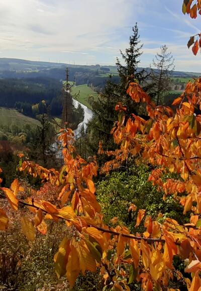 Blick vom Petersgrat im Herbst