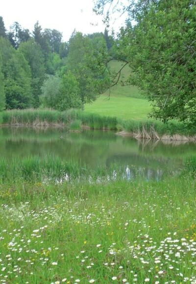 Dörnlesee am Dorfrand
