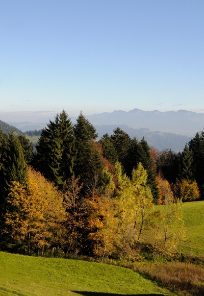 Herbststimmung am Pfänder – im Hintergrund Gipfel im Bregenzerwald.