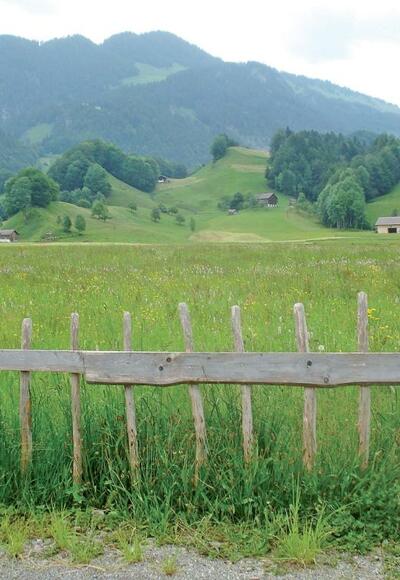 Bizau zwischen Dorf und Moos