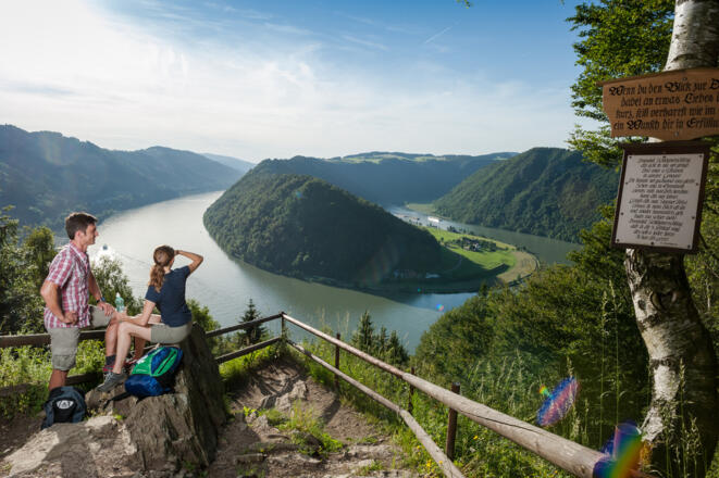 Donausteig - Schlögener Blick