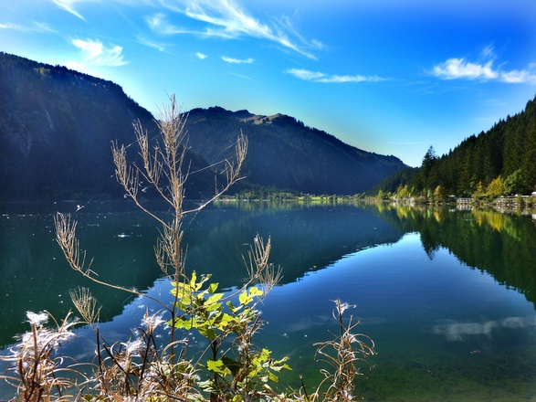 Blick über den Haldensee