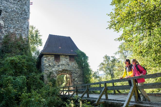 Donausteig - Ruine Haichenbach