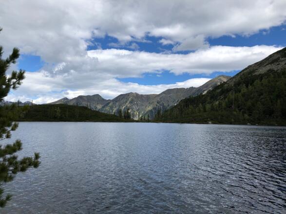 Reedsee mit Weitblick