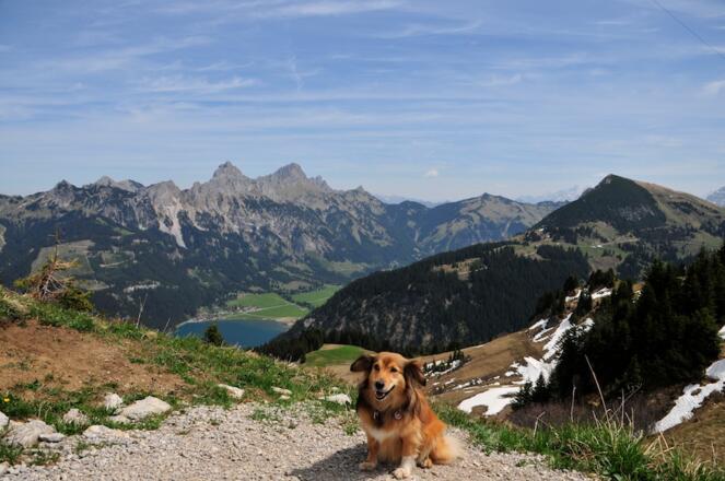Wanderung aufs Neunerköpfle mit Blick auf die Rot Flüh und den Haldensee