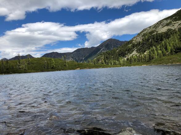 Reedsee ein idyllisches Platzerl