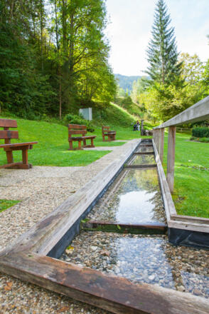 Kräutergarten Wagrain