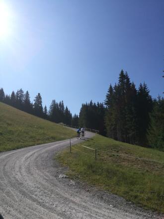 Auffahrt Richtung Bergeralm