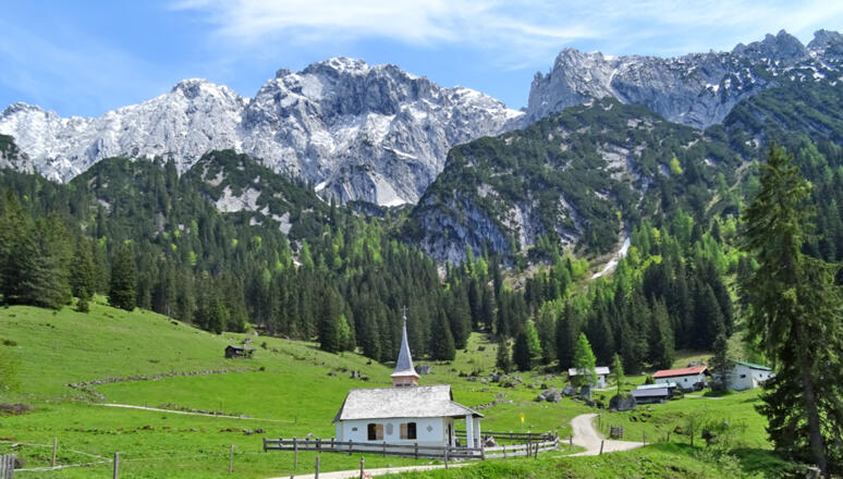 Wilder Kaiser_Steinberg