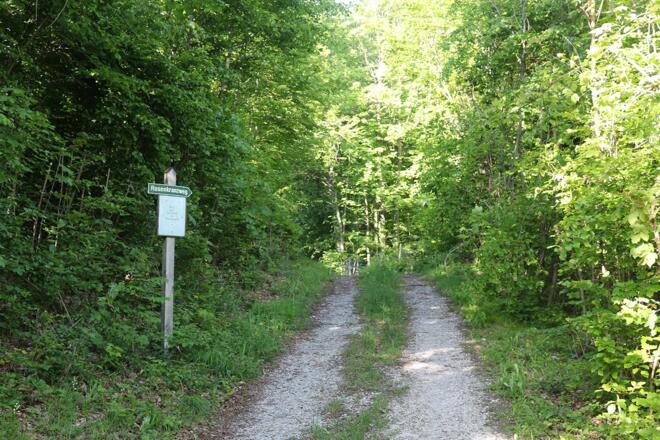 Abzweigung zur 3. Station- Rosenkranzweg von Puch nach St. Jakob am Thurn