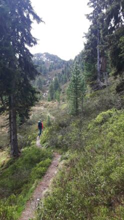kurz vor dem "Bödele"