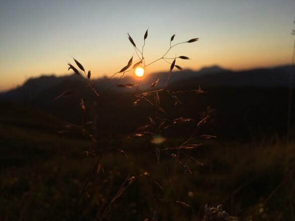 Blick zum Steineren Meer