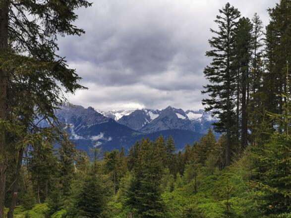 Blick auf das Karwendel