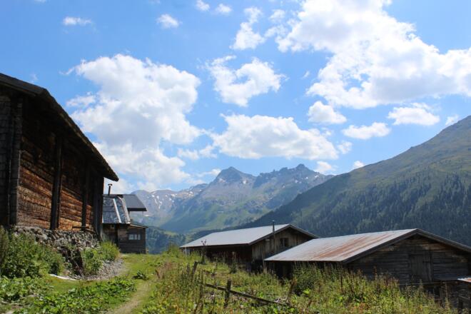 Außermelan Alm Niederleger