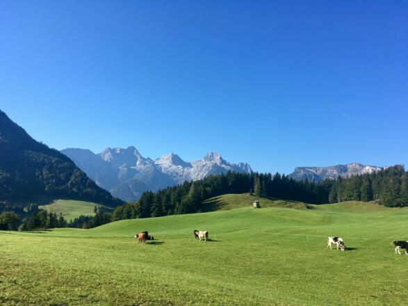 Mayrberg - blick Richtung Steinberge