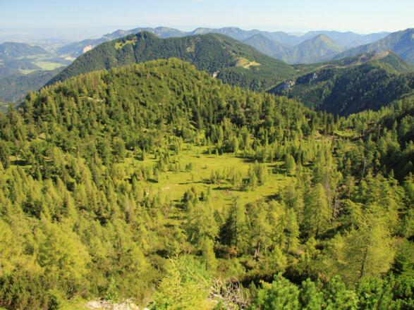 Blick vom Spering über die Haidenalm, Nationalpark Kalkalpen © Erich Mayrhofer
