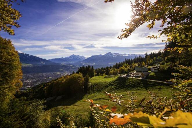 Arzler Alm