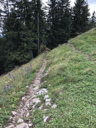 Wanderweg