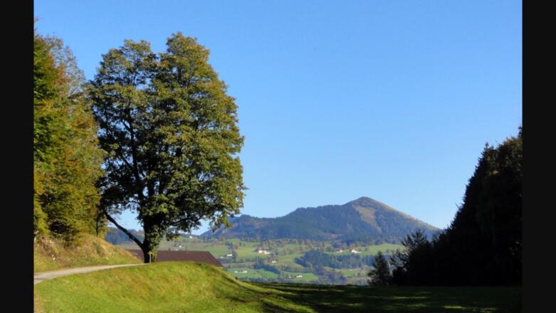 Blick in Richtung Schartengut
