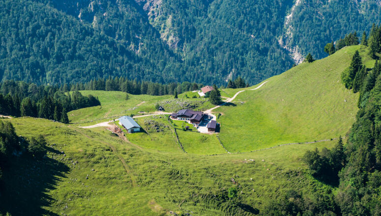 Ritzaualm, Zahmer Kaiser