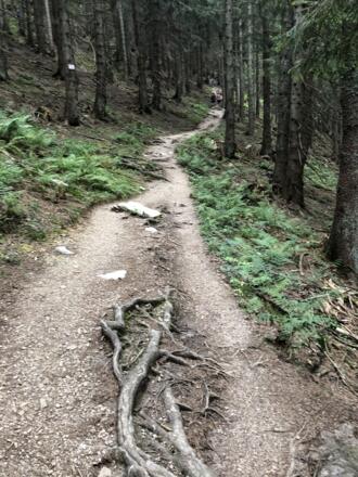 Wanderweg zum Schlenken Gipfel