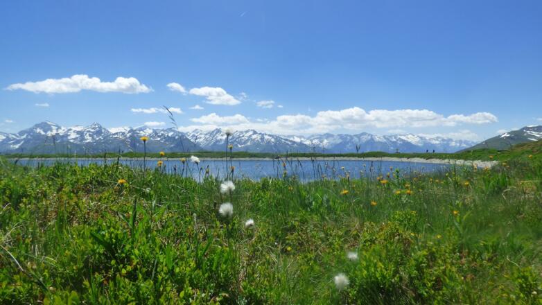 Wir lieben diesen Ausblick