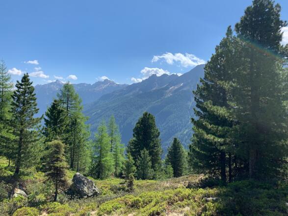 Oberhalb der Milderaunalm