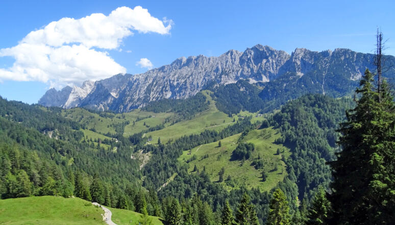 Wilder Kaiser_Panoramablick ab Brentenjoch_WS