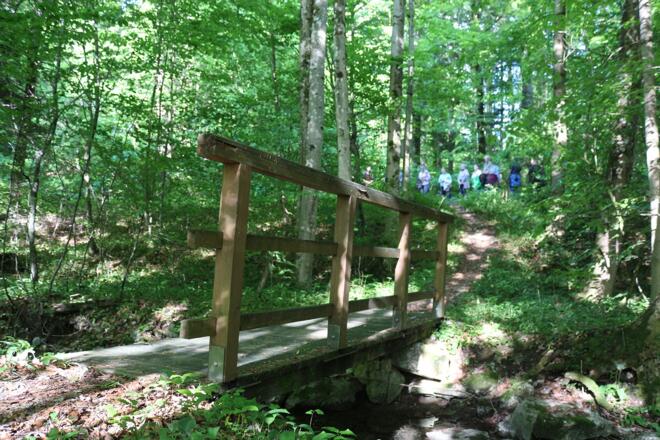 Brücke zur 3. Station - Rosenkranzweg von Puch nach St. Jakob am Thurn