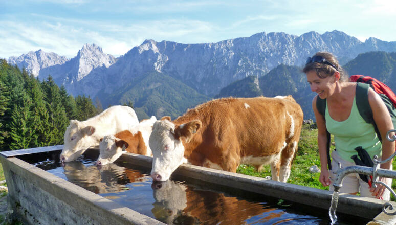 Ritzaualm im Hintegrund der Wilder Kaiser , Aufstieg über Kaisertal