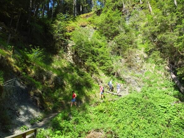 .. durch Wald & Wiesen