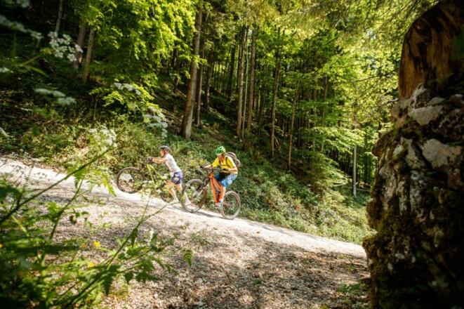 Pfaffenboden  Grünburgerhütte ET 8