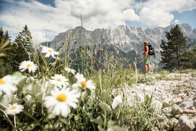 Weg auf´s Buchsteinhaus