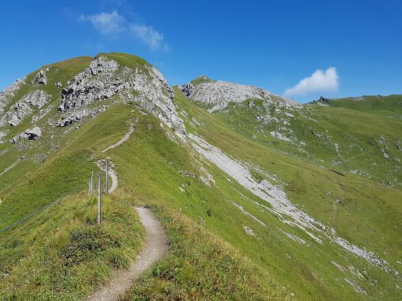 Grenzweg FL / A