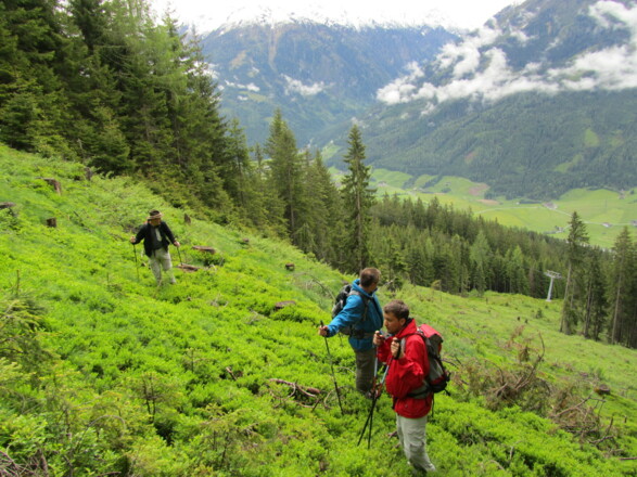 Wandern entlang des Sonnenwegs