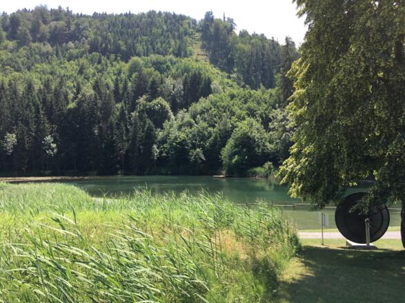Etappe 2: Bademöglichkeit am Fallersee in Schlins