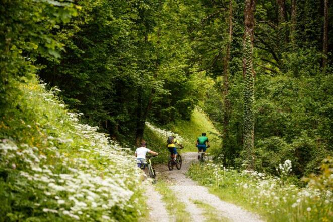 Schreibachfall  Pfaffenboden  Grünburgerhütte ET 8