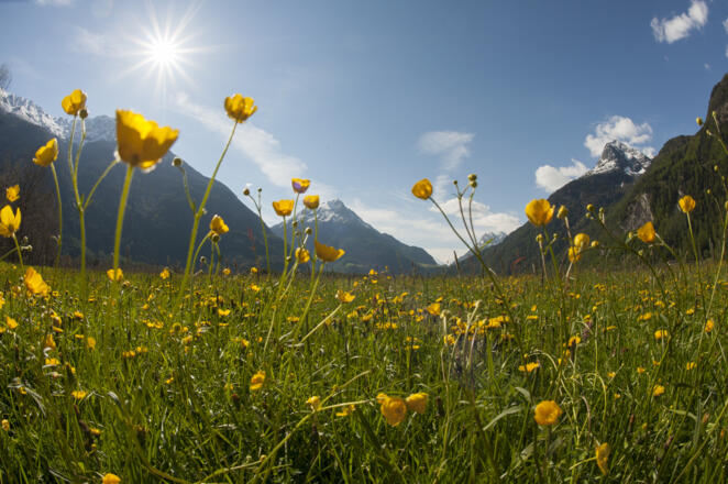 Blick auf den Gamskogel