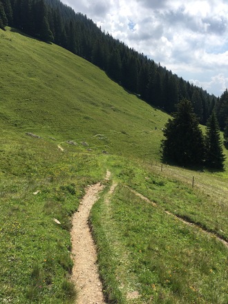 Etappe 2: Zum Aufwärmen gleich am Anfang ein flowiger Singletrail vom Sender hinab