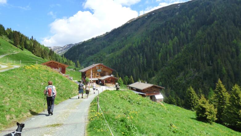 Einkehr bei der Steineralm im Dürnbachtal