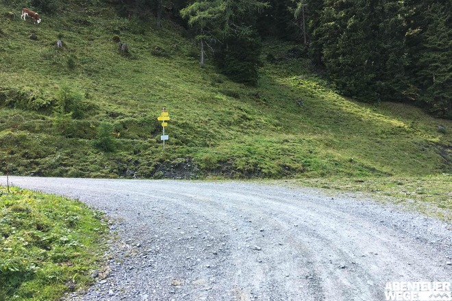 2.70 km - In Linkskurve am Wegweiser rechts abbiegen vom Fahrweg ("Heinreichalm").