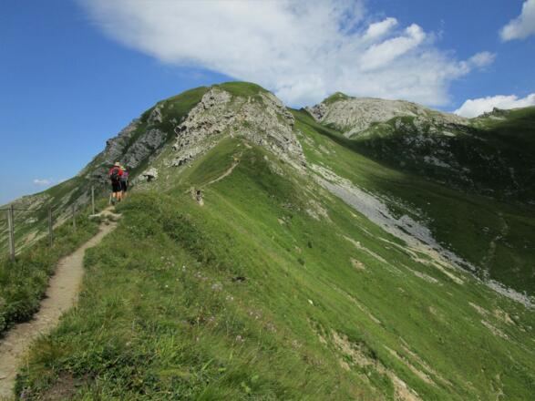 Weiter geht es auf dem "Fürstin-Gina-Steig" auf der Grenze zu Liechtenstein
