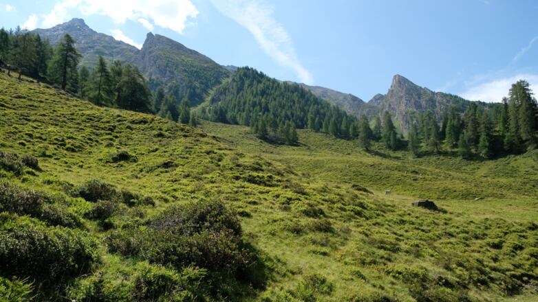 Blick über die Zirmaalm