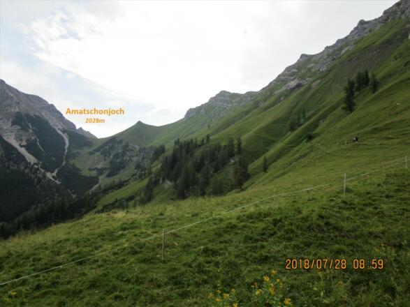 Sanft steigt der Weg durch grüne Blumenwiesen auf das Amatschonjoch an