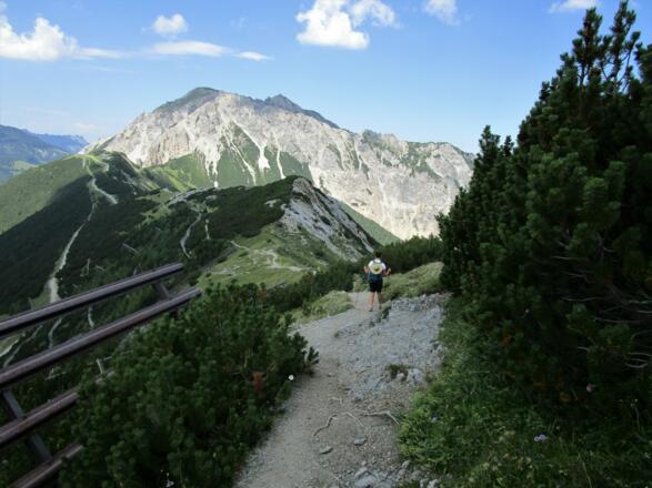 Kurz vor dem Sareiserjoch beginnt die Krummholzzone