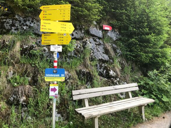 The trail is very well way-marked