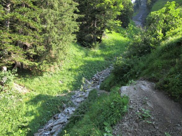 Eine kurze Stelle, bei der bei Nässe höhere Vorsicht wegen Rutschgefahr nötig ist