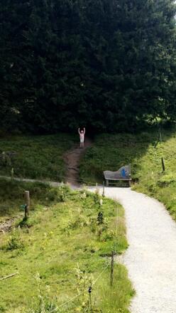 Wanderweg zur Haltenstelle