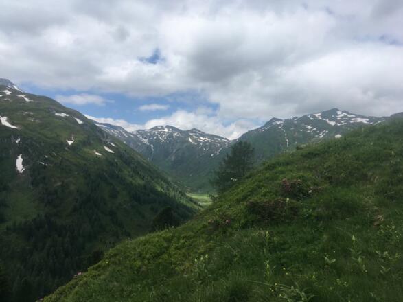 Blick Richtung Murursprung