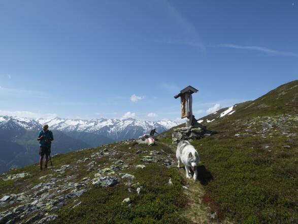 Weg Richtung Walsberg-Alm